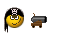 pirate